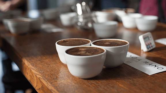 西安咖啡师培训学校·咖啡知识 | 杯测概论 · 为咖啡评分
